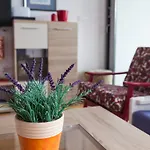 Vista Apartment