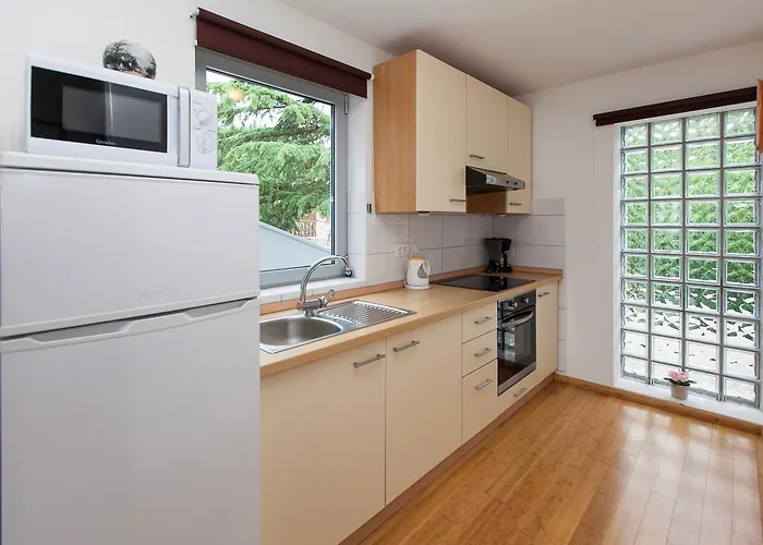 Vista * 노비비노돌스키