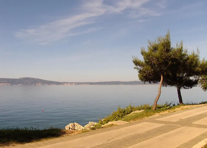 Vista * 노비비노돌스키